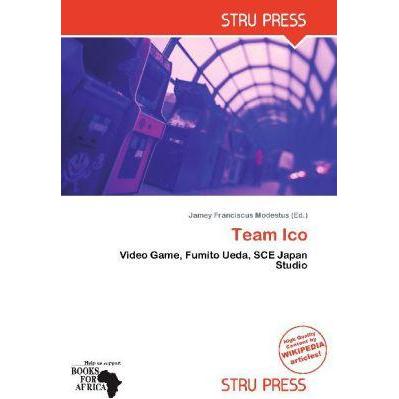 Team Ico, Fachbücher