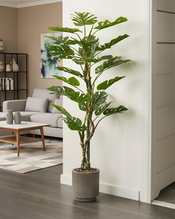 Immagine prodotto Beliani Monstera (165 cm)