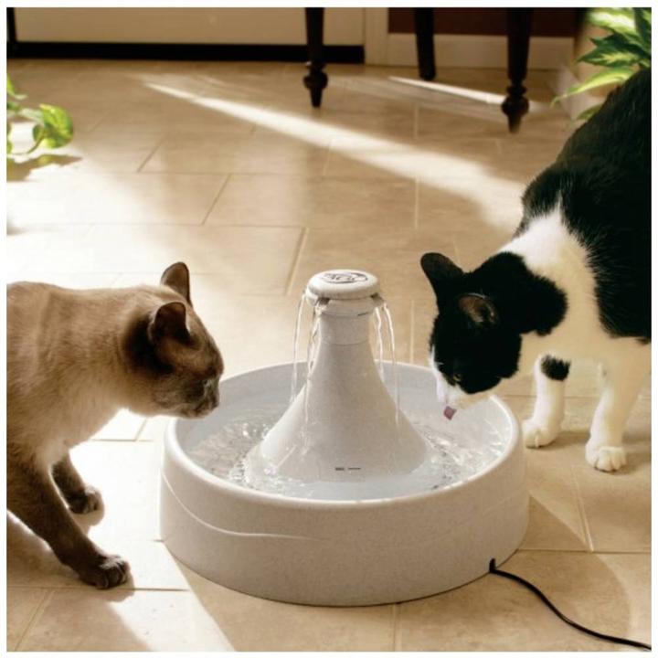 Image du produit Drinkwell Litre (380 cl)