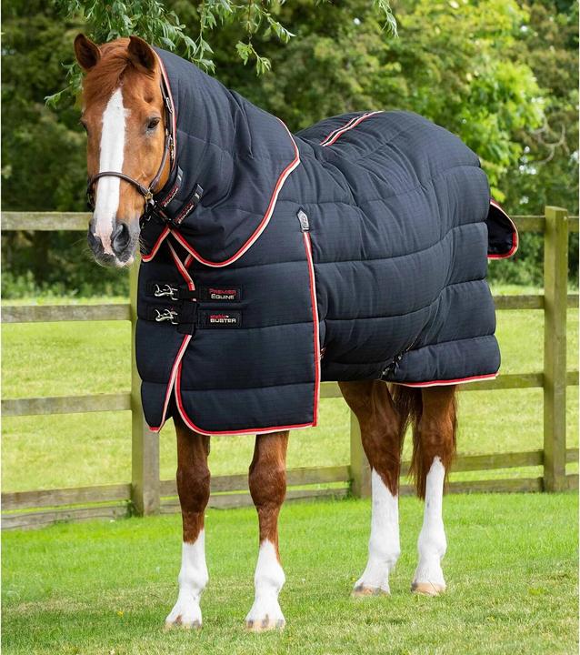 Immagine prodotto Premier Equine Stable Buster 450 g