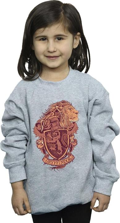 Image du produit - Sweat GRYFFINDOR SKETCH CREST - Fille (152, 158)