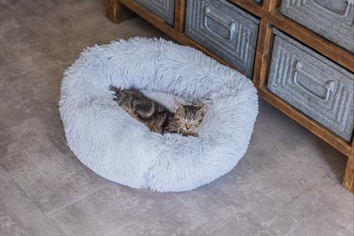 Image du produit Beeztees Vide (Chat)