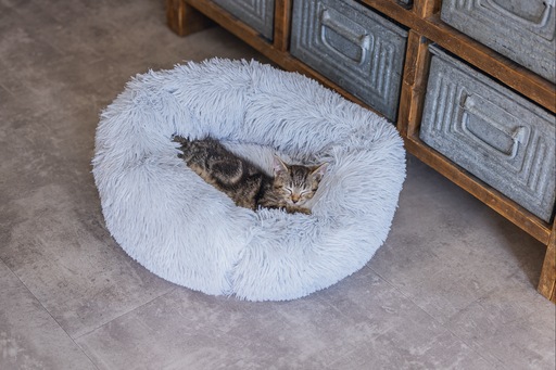 Actual product image Beeztees Vacuum (Cat)