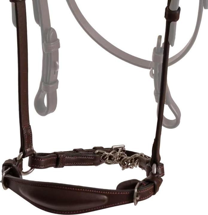 Produktbild Dy'on Fallen Zügel mit Kette für Pferde
