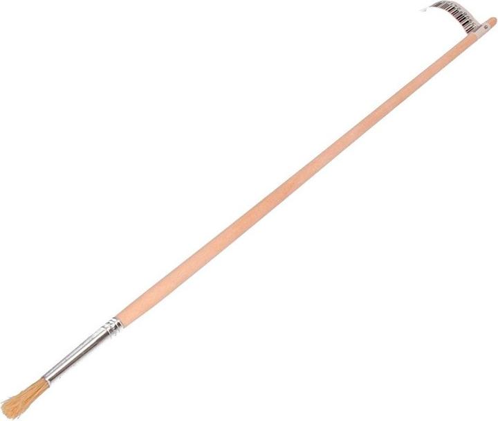 Actual product image EDM Round Brush