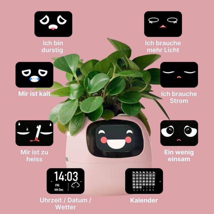 Produktbild Hermex Smarter Blumentopf (9 x 11 x 9 cm)