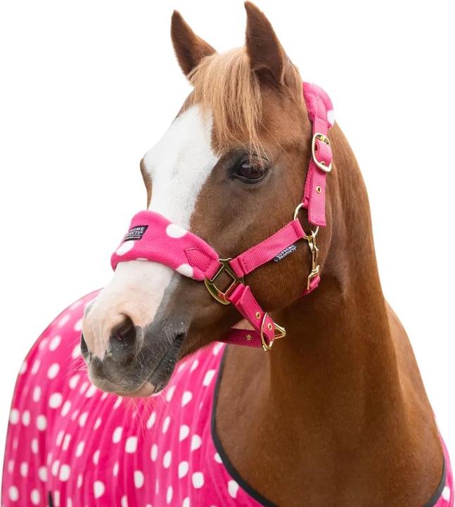 Image du produit Supreme Products - Licol et longe DOTTY