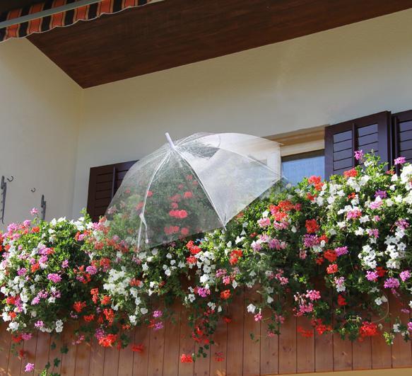 Image du produit Tegro Pflanzenschutzschirm (83 cm, 83 cm)