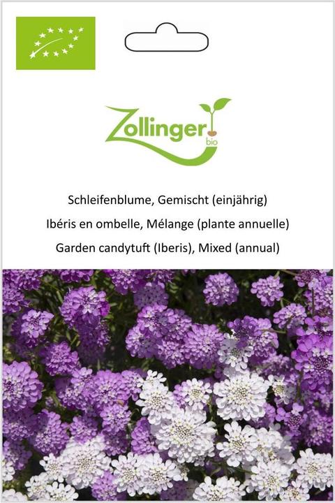 Produktbild Zollinger Bio Schleifenblume, Gemischt (einjährig) (Blumensamen)