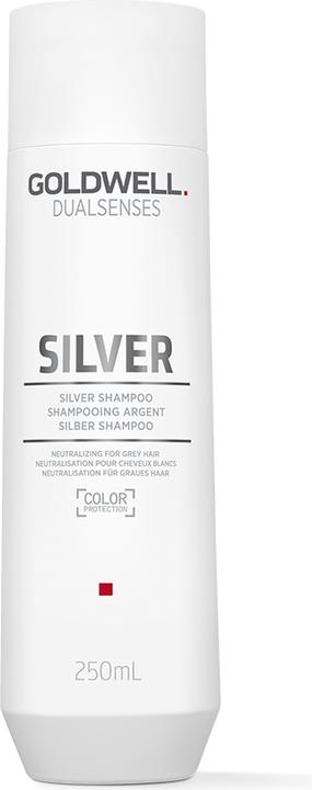 Immagine prodotto Goldwell Argento (250 ml, Shampoo liquido)