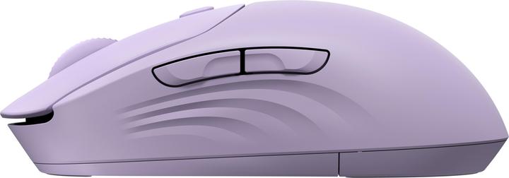 Actual product image HP 400 Quiet Purple Wireless Mouse (Wireless)