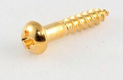 Immagine prodotto AllParts AP GS 0006-002 Interruttore meccanico (16) oro (Parti di ricambio per strumenti)