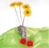 Produktbild Walimex leichter Stoffhintergrund (300 cm)