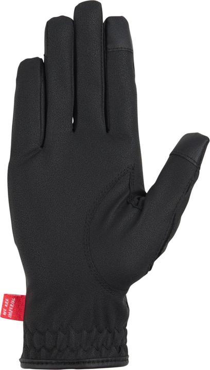 Actual product image Imperial Riding The Basics (XXL)