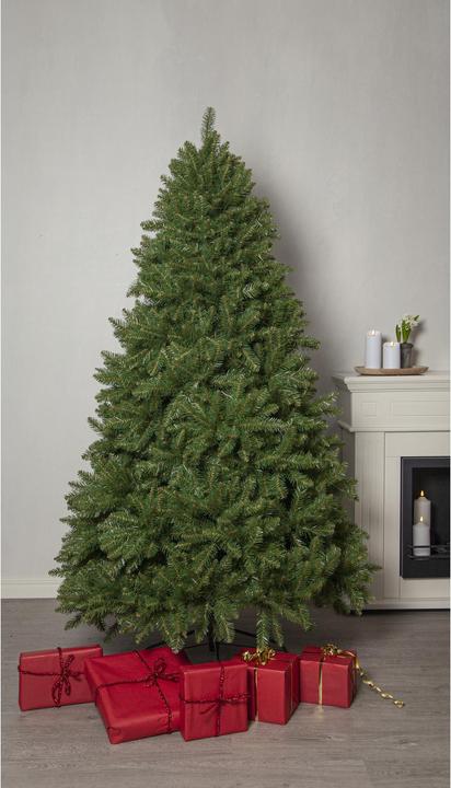 Produktbild Star Trading Narvik (210 cm)