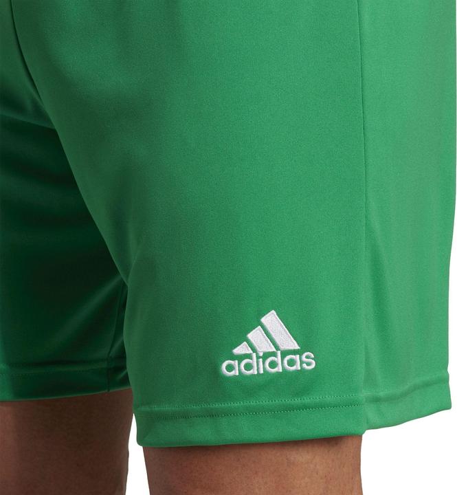 Actual product image adidas Entrada 22 Shorts (S)