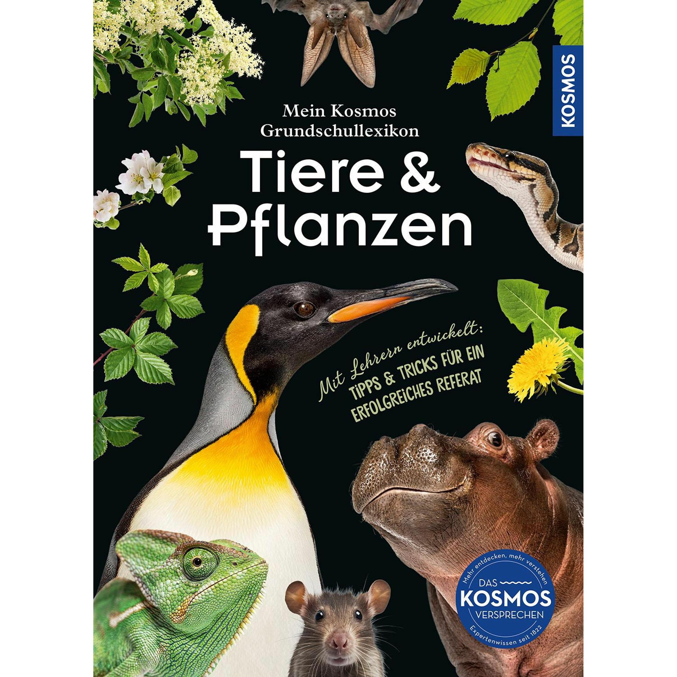 Mein Grundschullexikon Tiere & Pflanzen, Schulbücher von Ilka Sokolowski