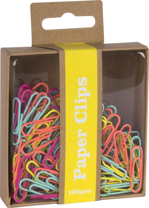 Apli Graffette assortite 100 pezzi (100x)