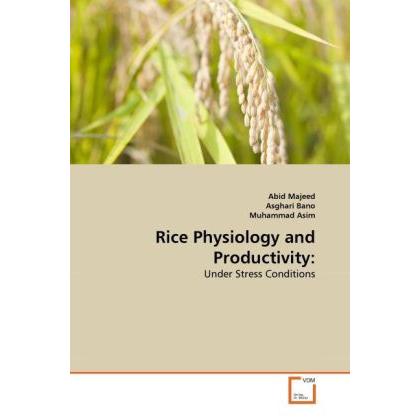 Rice Physiology and Productivity:, Fachbücher von Asghari Bano, Muhammad Asim, Abid Majeed
