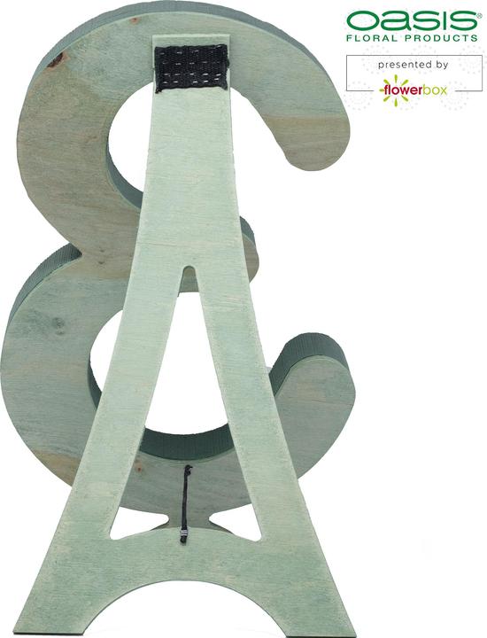 Actual product image Oasis OASISBIOLINE Number 3