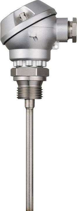 Productafbeelding Jumo Temperatuursonde Pt100 50mm