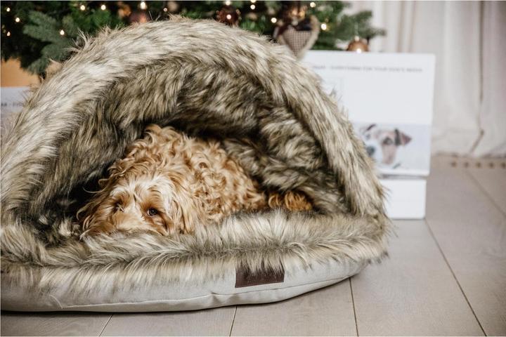 Immagine prodotto Kentucky Dogwear Cane letto Igloo (Cane)