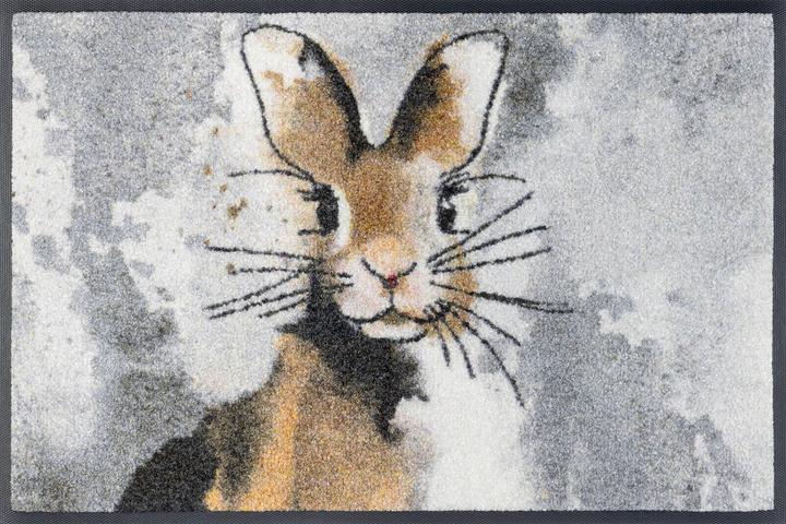 Wash + Dry Fussmatte 40x60 Hopps grau (0.70 x 60 cm)