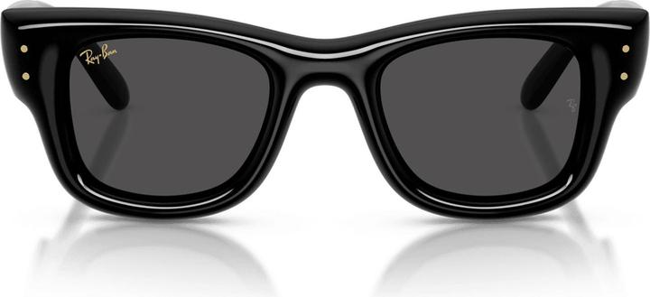 Actual product image Ray Ban Wayfarer buffer