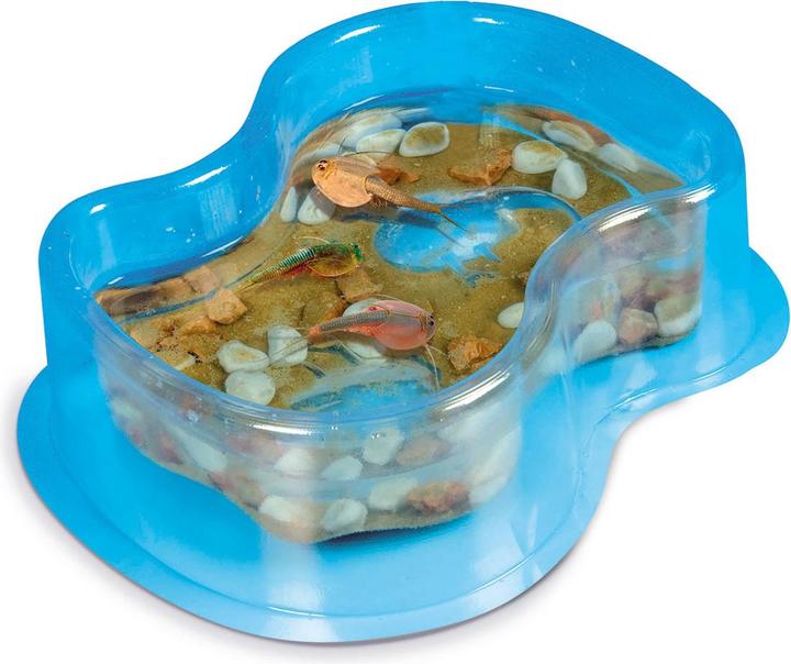 Produktbild Clementoni Éléve tes Triops