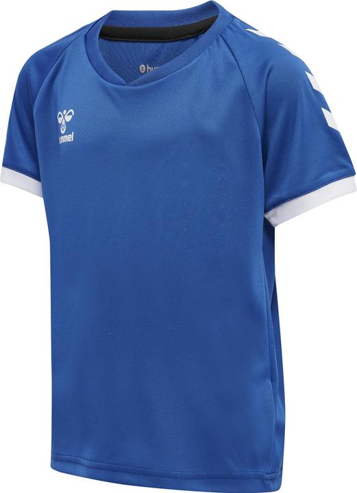 Trueblue