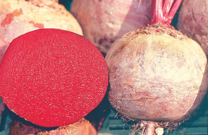 Actual product image Zollinger Bio Beetroot, Red ball