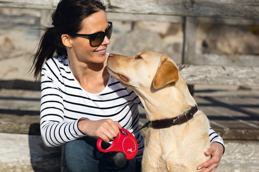 Immagine prodotto Flexi Nuova cintura classica (L, Cane, Passeggiare)