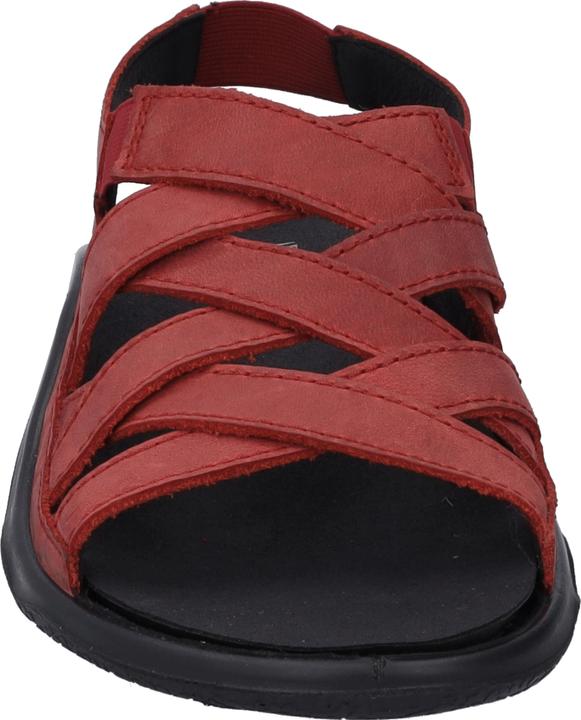 Actual product image Westland 18306-348 (39)