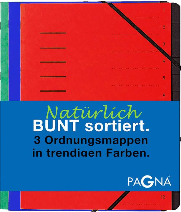 Produktbild Pagna Ordnungsmappenset 12 Fächer 1-12 je 1Stk rot/blau/grün (1x)