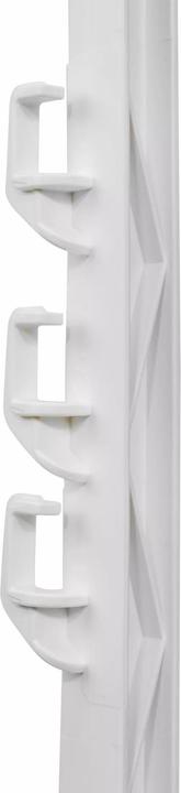 Actual product image Gallagher Hobby (x10)