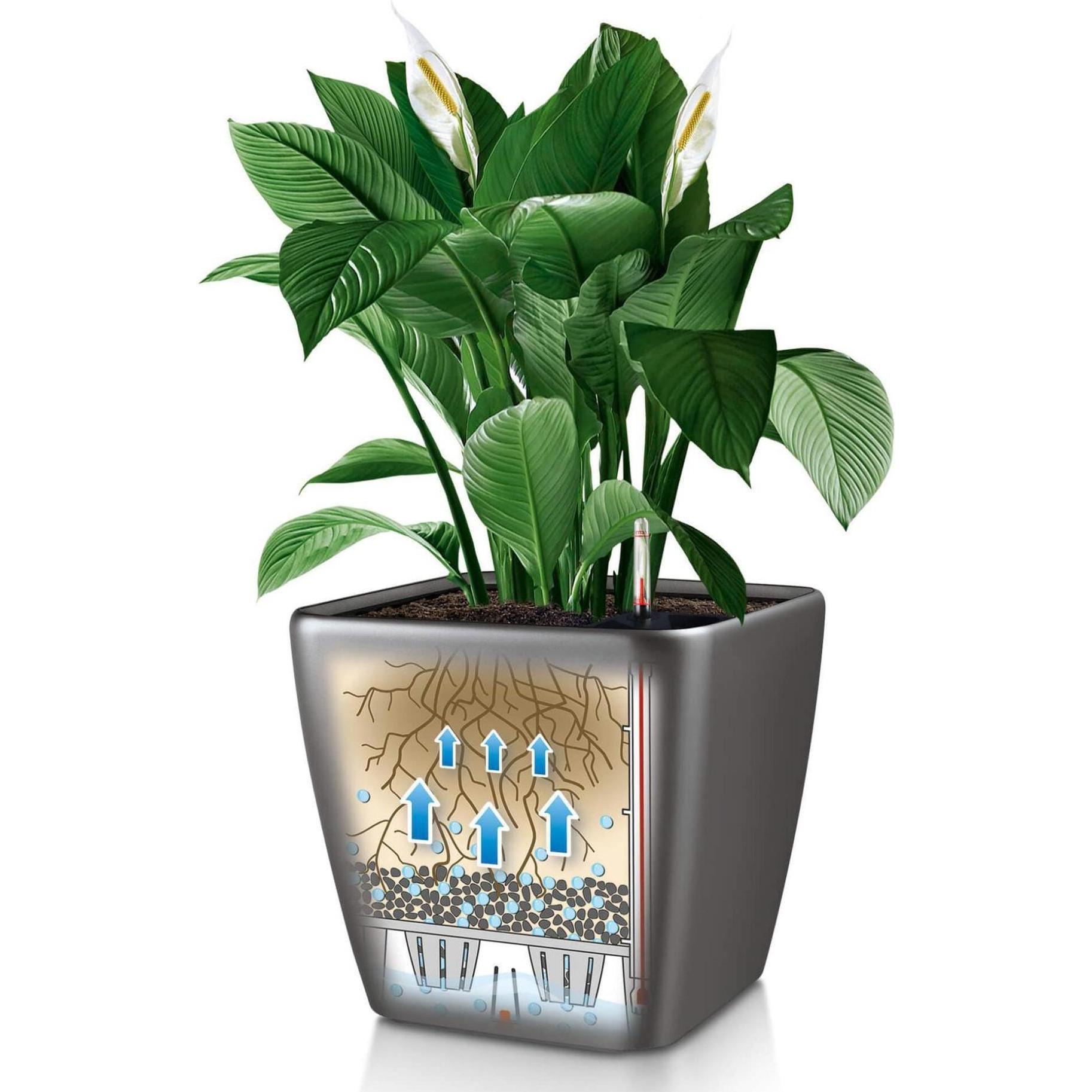 Thumbnail - Lechuza, Blumentopf, Quadro Ls (22.50 cm)