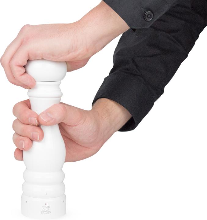 Immagine prodotto Peugeot Parigi (Pepe)