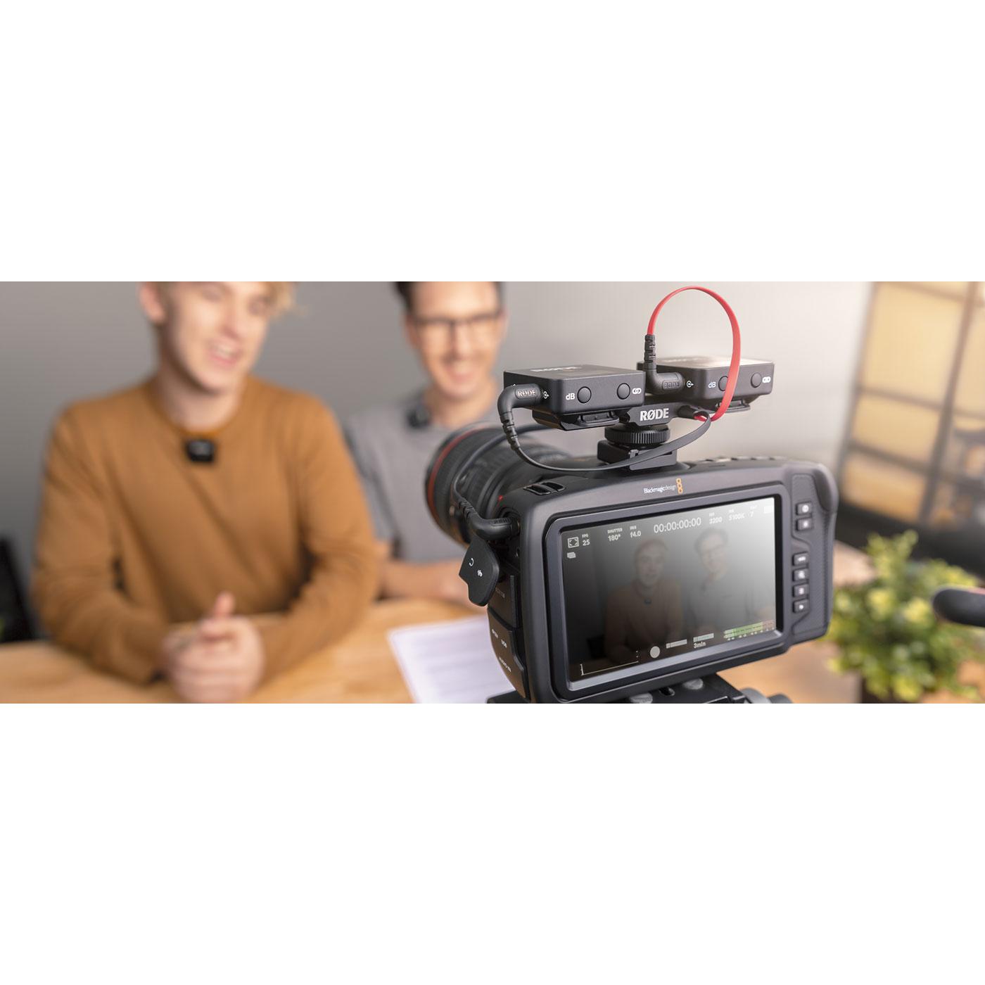 Thumbnail - RØDE SC11 TRS-Verteilerkabel (0.28 m), Audio Kabel