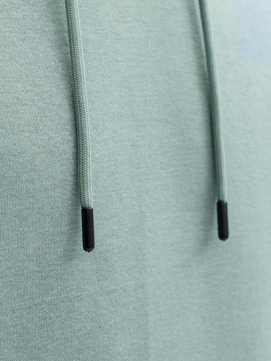 Produktbild Jack & Jones Jjebradley Sweat Hood Noos (M)