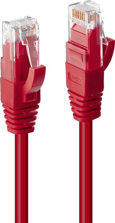 Produktbild Lindy Netzwerkkabel (UTP, CAT6, 0.50 m)