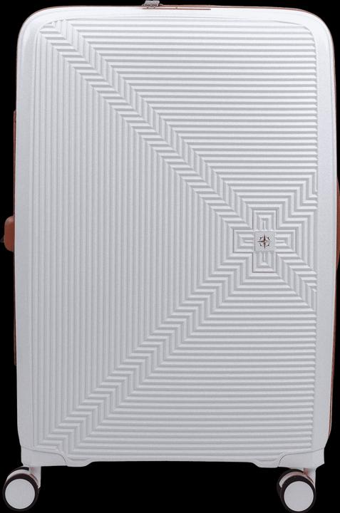 Actual product image Swissbags New Vision (120 l)