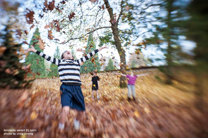 Image du produit Lensbaby Sweet 35 Optic, f2.5 - f22 (Plein format)