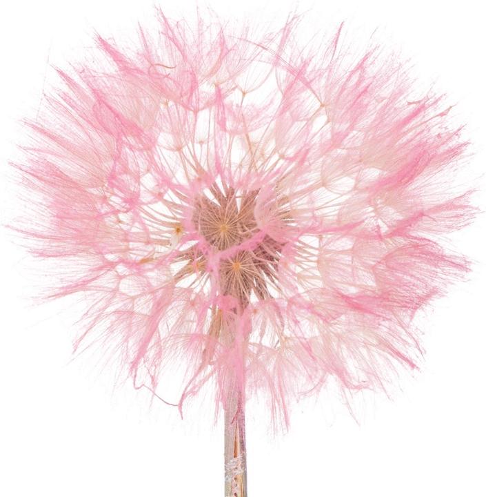 künstlicher blumenstrauß mit vase Kunstblumen - Blumenstrauß L - Glänzendes Rosa main image 0