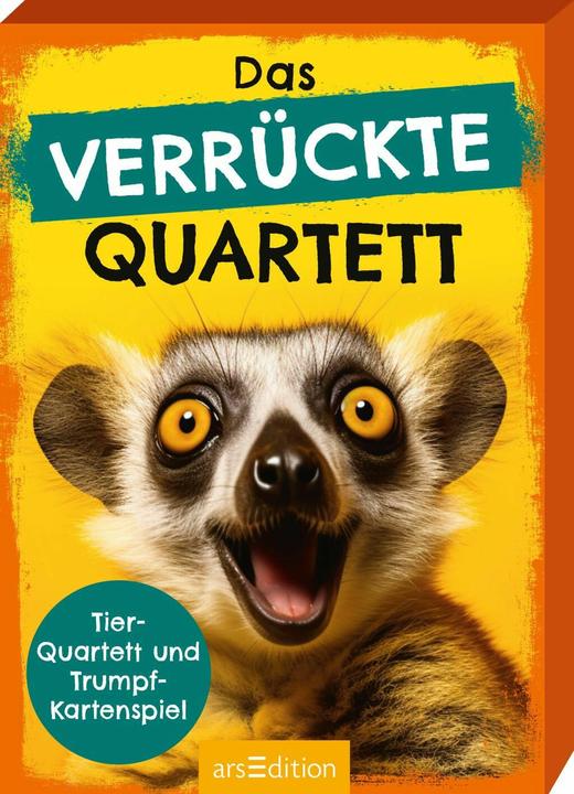Das verrückte Quartett (Deutsch)