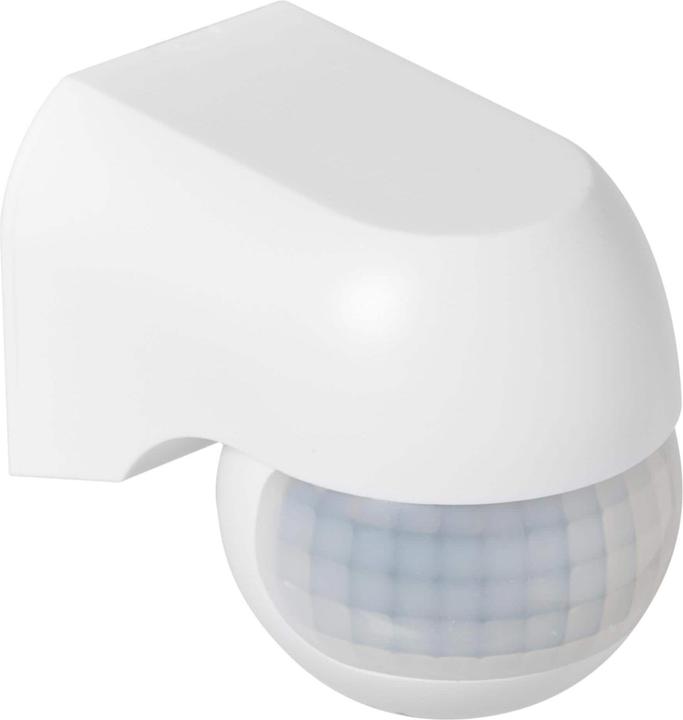 Actual product image Steffen Mini Globe IR (12 m)