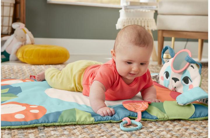 Image du produit Fisher-Price 0