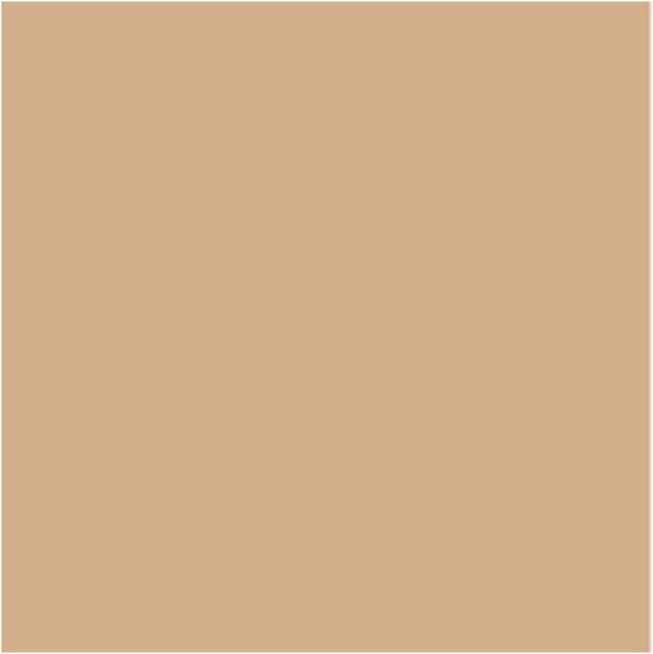 Actual product image Mesauda Face - The Skin Moisturising Foundation C05 (C05)