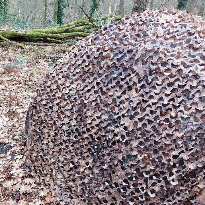 Image du produit Buteo Photo Gear Filet de camouflage 4 roseaux/herbe 1,5x3 m