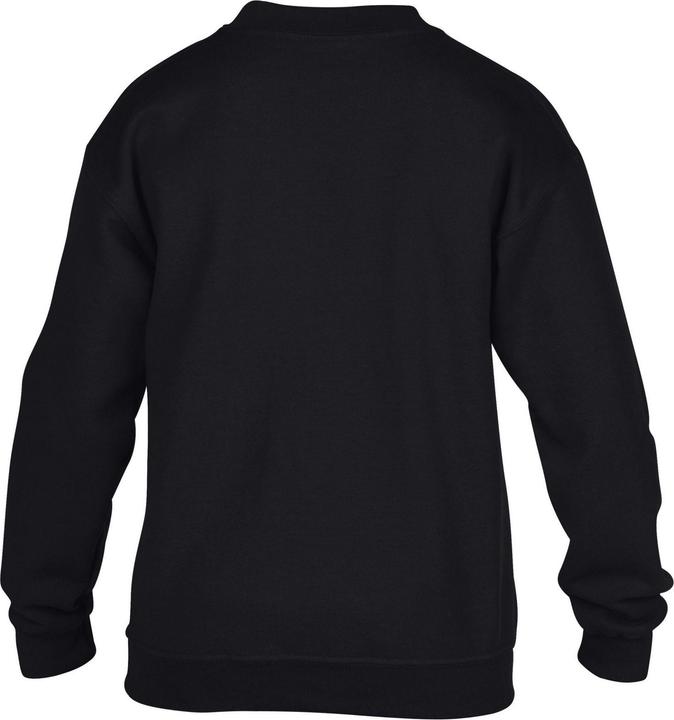 Produktbild Gildan Sweatshirt Rundhalsausschnitt (158, 164)
