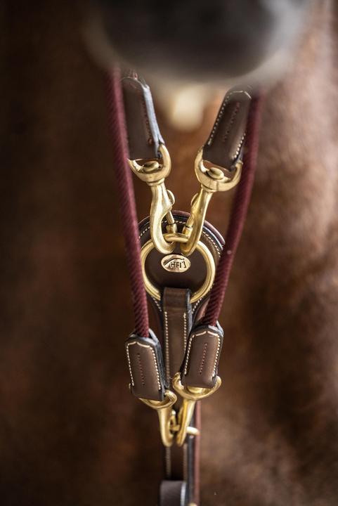 Image du produit HFI Master Gogue pour cheval